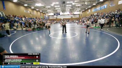 88 lbs Cons. Round 5 - Tate Mikesell, Sanderson Wrestling Academy vs Jayden Davidson, Cougars Wrestling Club