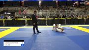 OVIDIU SEBASTIAN TRUTA vs SEAN KLINE 2024 Pan Jiu Jitsu IBJJF Championship