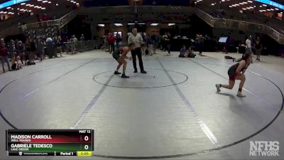 105 lbs Quarterfinal - Gabriele Tedesco, Lake Gibson vs Madison Carroll, Well Trained