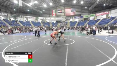 123 lbs Consi Of 4 - Roxie Rodriguez, Duran Elite vs Vanessa Nguyen, Woodland Park