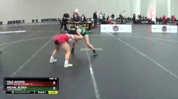136 lbs Placement - Yele Aycock, North Central College vs Michal Buska, Tiffin University