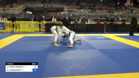 ADISEN REID TORRES vs EDUARD PUGACHOV 2024 Pan Jiu Jitsu IBJJF Championship