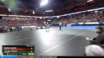 D2-113 lbs 3rd Place Match - Parker Heintz, Lodi vs Carter Schulz, Rice Lake