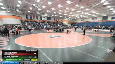 184 lbs Champ. Round 1 - Gavin Layman, Ohio Northern vs Ethan Fragoso, Ferrum College