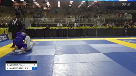 CHAMINTUYA NARANTUYA vs KHRISTINE MARI MONTALLA ABADEER 2024 Pan Jiu Jitsu IBJJF Championship