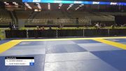 KATHLEEN CIERRA BRANN vs LILLIAN JANE MARCHAND 2024 Pan Jiu Jitsu IBJJF Championship