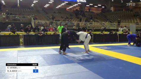 EDWARD VERDEL vs ROBERTO A ARCE 2024 Pan Jiu Jitsu IBJJF Championship