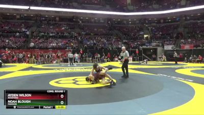 D2-157 lbs Cons. Round 1 - Noah Blough, Madison vs Ayden Wilson, Rossford