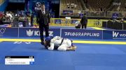 YOUNGSEUNG CHO vs LEONARDO FERNANDES SAGGIORO 2024 Pan Jiu Jitsu IBJJF Championship