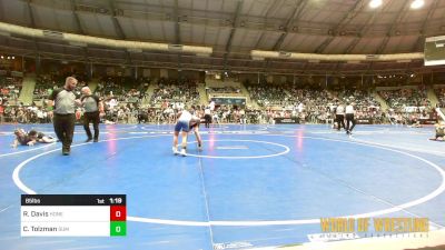 85 lbs Round Of 32 - Rye Davis, Honey Badgers Wrestling Club vs Cash Tolzman, Summit Wrestling Academy