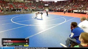 D2-132 lbs Cons. Semi - Tyler Fink, Baldwin-Woodville vs Kellen Kelly, Saint Croix Falls