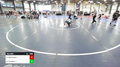 90 lbs Quarterfinal - Alesandro Restrepo, NY vs Arav Pandey, PA