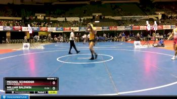 197 lbs Round 2 (3 Team) - William Baldwin, Averett vs Michael Schneider, Davis & Elkins