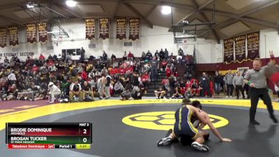 144 lbs Quarterfinal - Brodie Dominique, Archbold vs Brogan Tucker, St Paris Graham