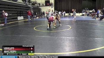 145 lbs Placement Matches (8 Team) - Logan Loyd, Shelby County vs BRODY MIZZELL, Saint Clair County