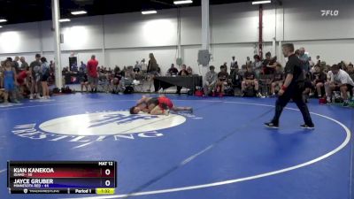 92 lbs Semis & 3rd Wb (16 Team) - Kian Kanekoa, Idaho vs Jayce Gruber, Minnesota Red