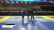 TATIANA VALDIVIA JOHNSON vs SUSAN GREEN SETSER 2024 Pan Jiu Jitsu IBJJF Championship
