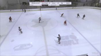 Replay: Home - 2024 Palmyra U13 vs Hitmen U13 | Jan 20 @ 9 AM