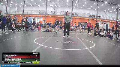 45 lbs Placement (4 Team) - Dallas Williams, Palmetto State Academy vs Chase Hood, Team Bear