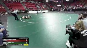 D2-145 lbs Champ. Round 1 - Landon Radtke, River Valley vs Anthony Nighbor, Waupun