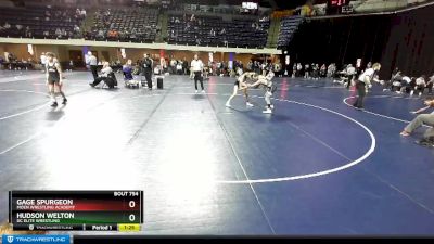 110 lbs Quarterfinal - Hudson Welton, DC Elite Wrestling vs Gage Spurgeon, Moen Wrestling Academy