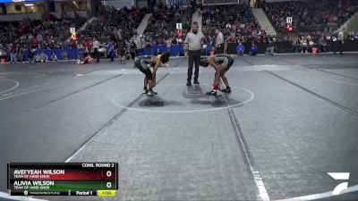 110 lbs Cons. Round 2 - Alivia Wilson, Team Of Hard Knox vs Avei`yeah Wilson, Team Of Hard Knox