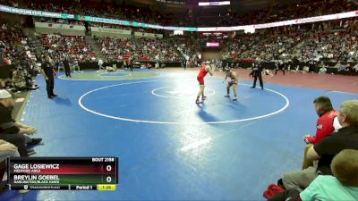 D2-157 lbs Semifinal - Breylin Goebel, Darlington/Black Hawk vs Gage Losiewicz, Medford Area