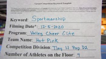 Valley Cheer Elite - HOT PINK [Level 1.1 L1.1 Tiny - PREP] Varsity All Star Virtual Competition Series: Event VI