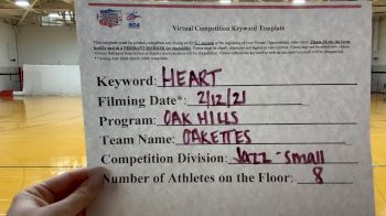 Oak Hills Oakettes [Small Varsity Jazz] 2021 NCA & NDA Virtual February Championship