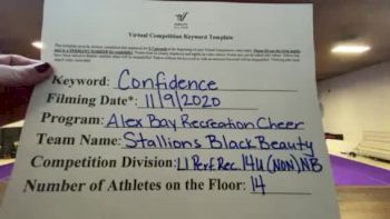 Alex Bay Recreation Cheer - Alex Bay Stallions Black Beauty [L1 Performance Recreation - 14 & Younger (NON) - NB] Varsity All Star Virtual Competition Series: Event IV