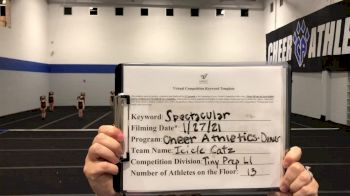 Cheer Athletics - Denver - Icicle Cats [L1.1 Tiny - PREP] 2021 ATC International Virtual Championship