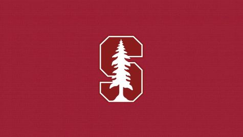 Stanford Men's Swimming