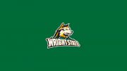 Wright State Men's Swimming