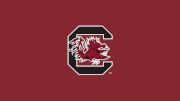 South Carolina Men's Swimming