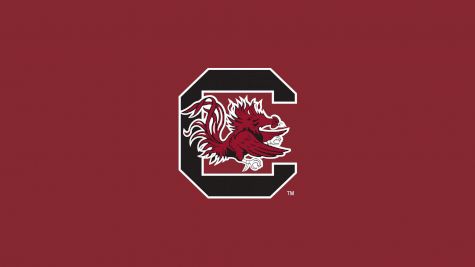 South Carolina Men's Swimming