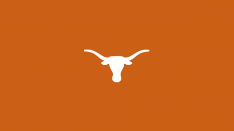 Texas Men's Swimming