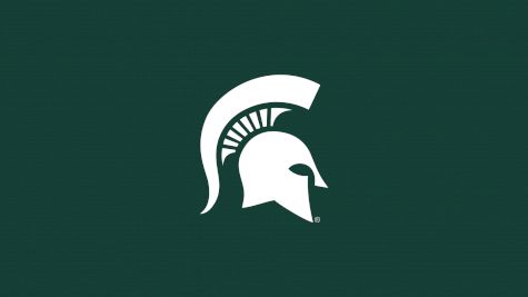 Michigan State Men's Swimming