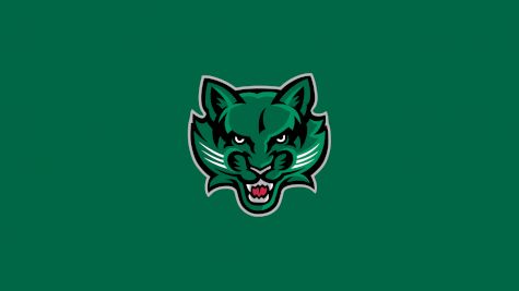 Binghamton Men's Swimming