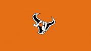 Arlington Longhorns