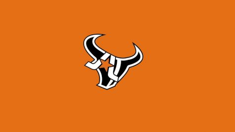Arlington Longhorns