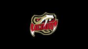 Amarillo Venom