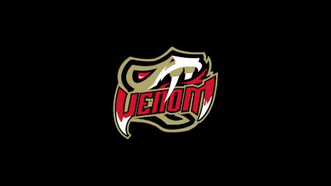 Amarillo Venom