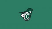 Castleton University Football