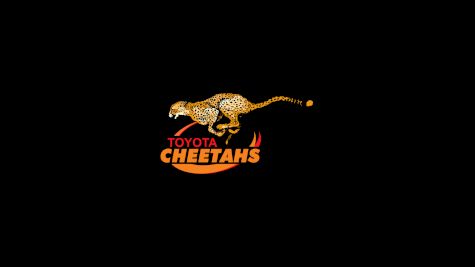 Free State Cheetahs