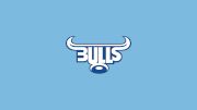 Blue Bulls