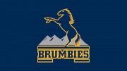 Brumbies Men's Rugby