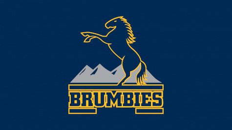 Brumbies Men's Rugby