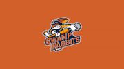 Greenville Swamp Rabbits