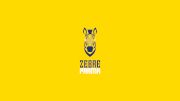 Zebre Parma