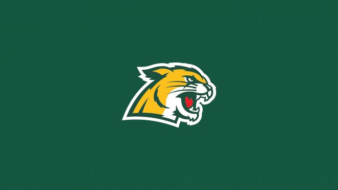 Northern Michigan Men's Hockey